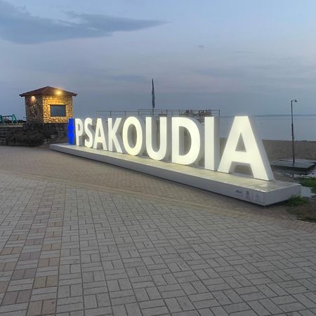Apartament Seahouse With View Psakoudia Zewnętrze zdjęcie