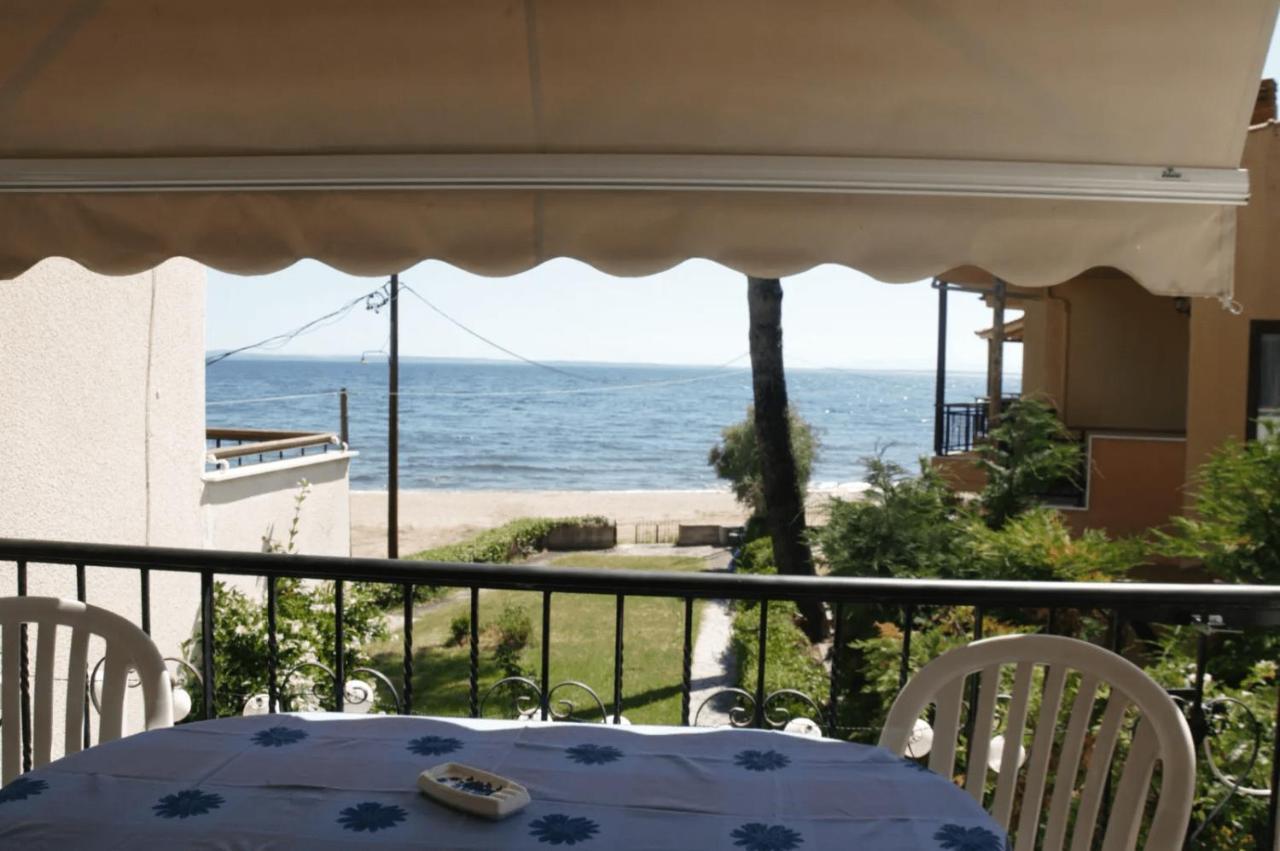 Apartament Seahouse With View Psakoudia Zewnętrze zdjęcie