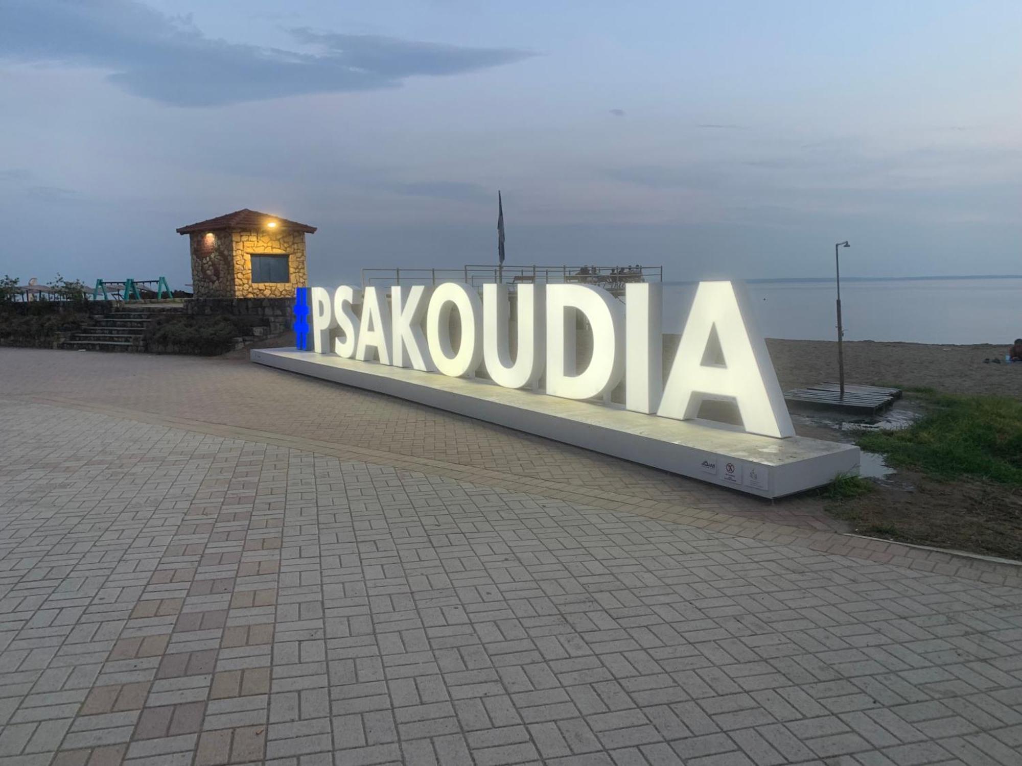 Apartament Seahouse With View Psakoudia Zewnętrze zdjęcie
